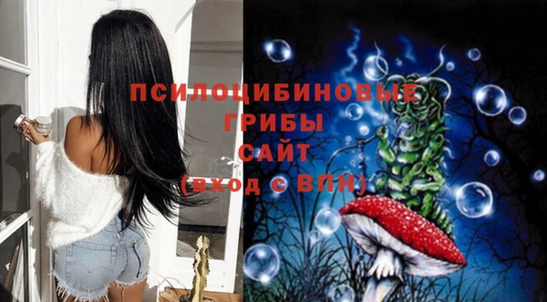 синтетический гашиш Алексеевка